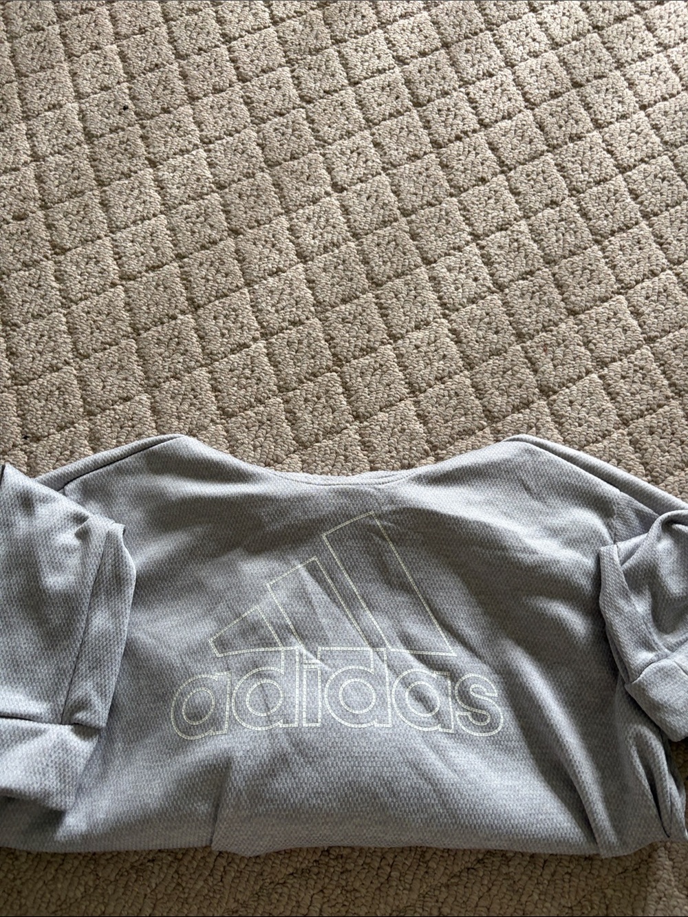 adidas Light Gray Sweatshirt with White Outlined Logo